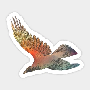 Pretty bird in flight with warm watercolour effect Sticker